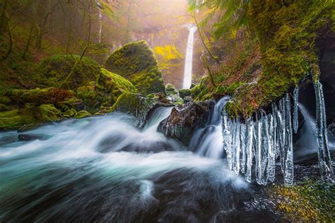 Wallpaper Trees Landscape Forest Waterfall Nature Long Exposure Moss Ice Cold Morning