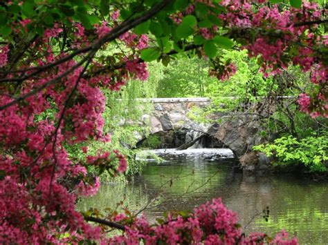 Get Images Beautiful Bridges With Nature