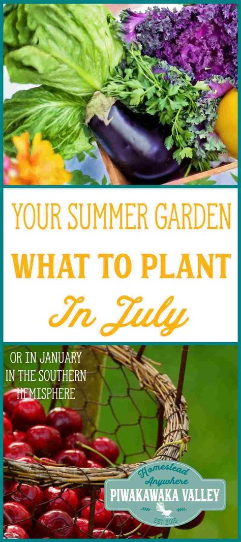 Where can i get a money order? What to Plant in Your Garden in July (or January ...