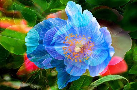 We did not find results for: Blue Flower Painting, HD Artist, 4k Wallpapers, Images ...