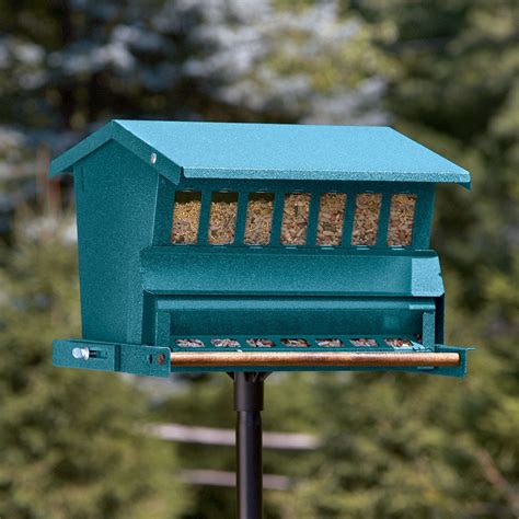 How Can I Squirrel Proof My Bird Feeder