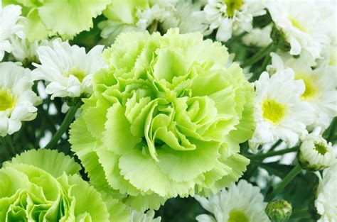 Color Of The Year 2017 Greenery 1800flowers Petal Talk