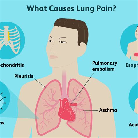 Pain In Middle Of Chest Under Ribs Why Do I Have Pain Under My Left