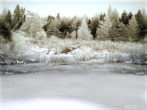 49 Free Animated Snow Scene Wallpaper On Wallpapersafari