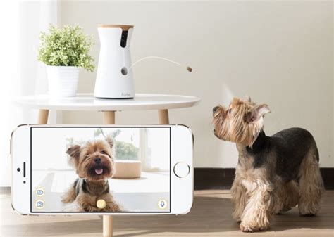 Furbo Lets You See And Talk To Your Dogs And Give Them Treats When You