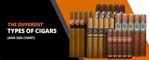 The Different Types Of Cigars And Size Chart Corona Cigar Co