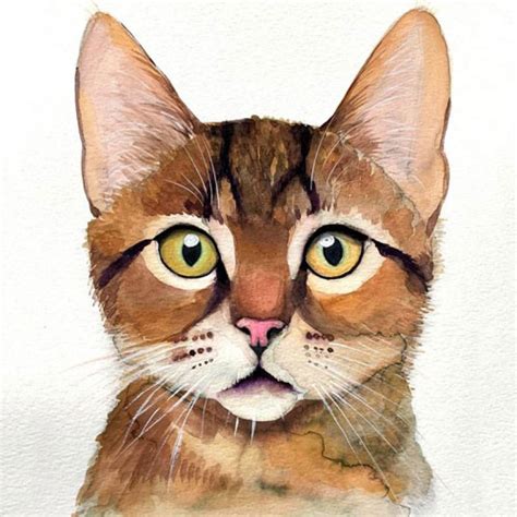 Personalized Custom Cat Portraits