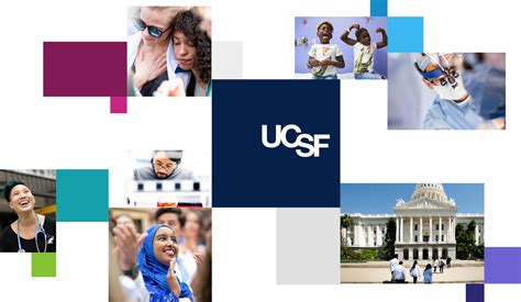 Visual Framework Ucsf Brand Identity