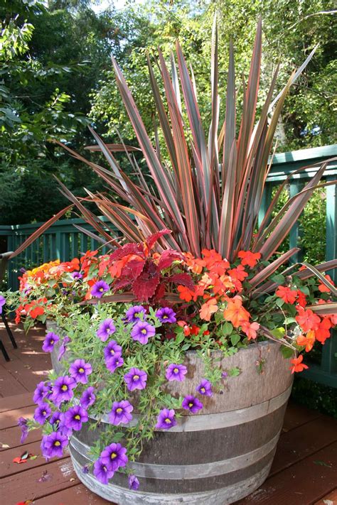 Fall Flower Pot Ideas Season Flower Container Ideas Midwestern Plants