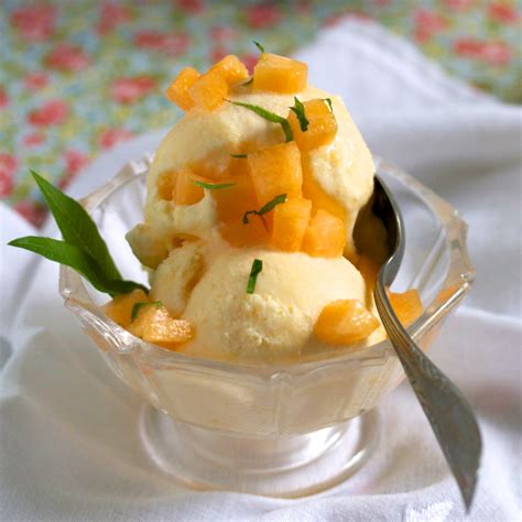 Cantaloupe Ice Cream Gourmandistan