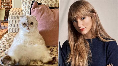 Agency News Taylor Swifts Cat Olivia Benson Is The Third Wealthiest