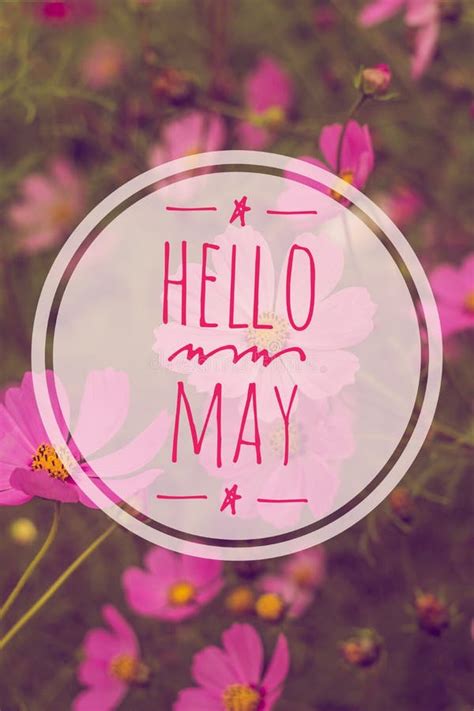 Banner Hello May Greeting The New Month Picture With Flowers Stock