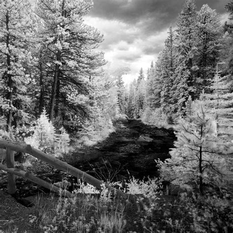 Infrared Photography And Beyond With Matthew Piper Grand Center Arts