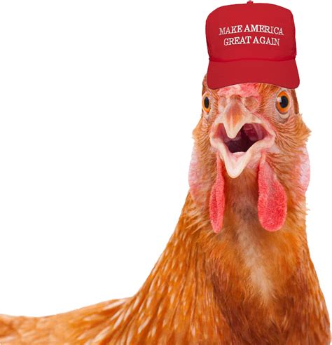 Maga Hat Png Image Hd Png All Png All