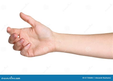 Female Hand Outstretched For A Handshake Stock Photo Image Of Person