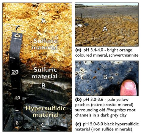 Photograph Of A Typical Acid Sulfate Soil In An Exposed Dry River Bed