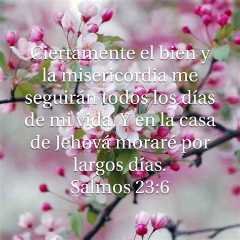 Salmos 23 6 Biblia Reina Valera 1960 RVR1960 Bible Murcia