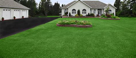 Maybe you would like to learn more about one of these? Turf Type Tall Fescue l AquaVita l Aqua Wise l TMI | Turf ...