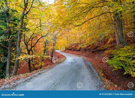 Twisty Autumn Road Stock Image Image Of Foliage Lane 91232383