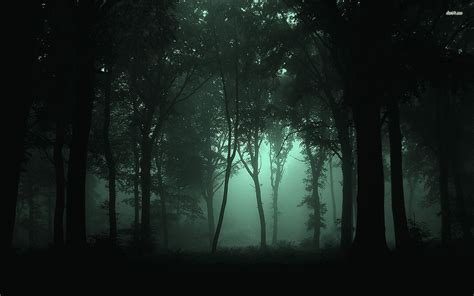 Forest At Night Background
