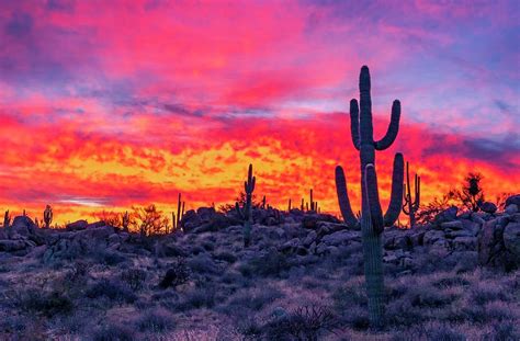 Blazing Sunrise Landscape In Th Arizona Desert Photograph By Ray