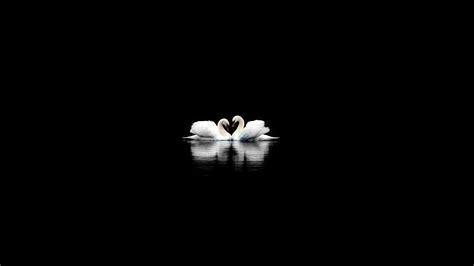 We have a massive amount of hd images that will make your computer or smartphone look absolutely fresh. Pure Black wallpaper ·① Download free stunning HD ...