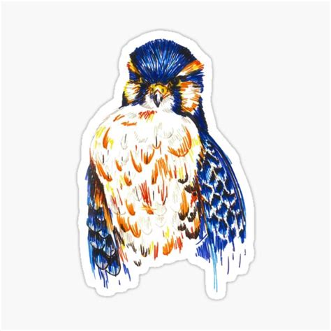 Falcon Sticker By Christinabarton Redbubble