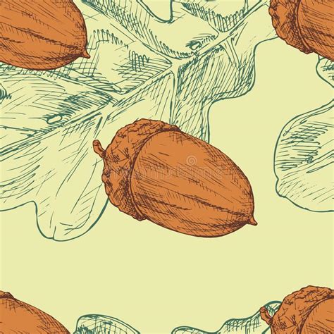Acorn And Oak Leaf Vector Seamless Pattern Hand Drawn Color