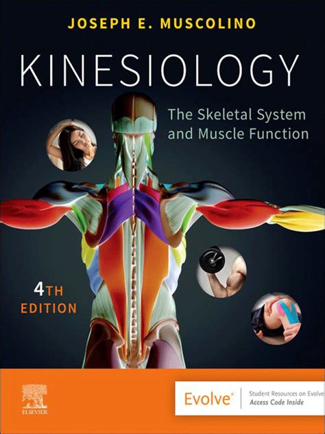 Kinesiology The Skeletal System And Muscle Function 4th Edition