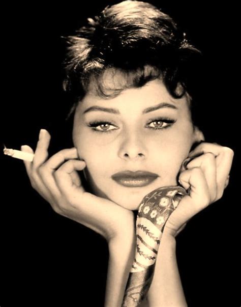 Love Those Classic Movies In Pictures Sophia Loren