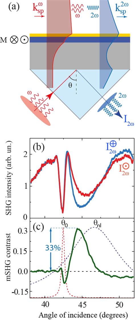 In the latter case, interference of the reflected waves composing the beam results in an additional field outside the geometrical edge of the reflected beam. (a) Schematic of the SPP-induced magnetic SHG in ...