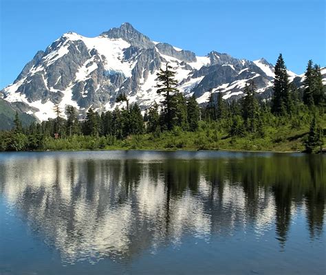 Mount Baker Day Tour Venture To The Top Of The North Cascades