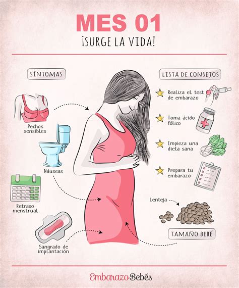 primer mes de embarazo mes 1 primeros síntomas de embarazo primer mes de embarazo embarazo