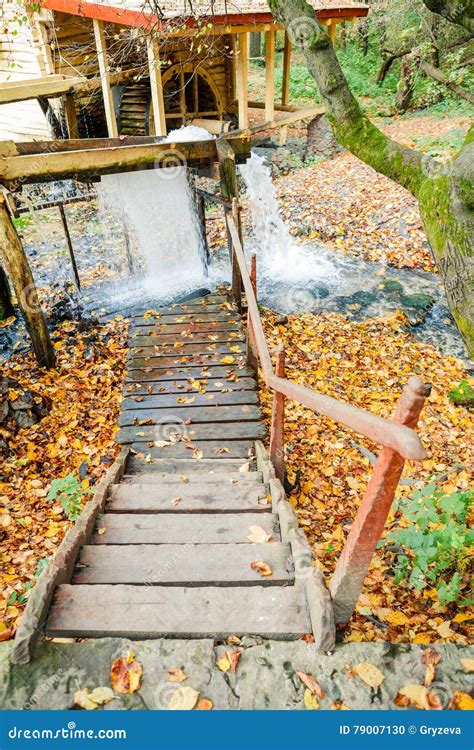 Water Mill In The Autumn Forest Stock Photo Image Of Vintage