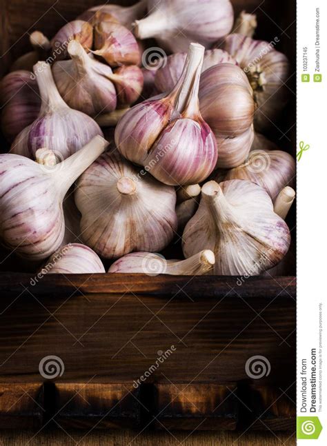 Raw Garlic Cloves Stock Image Image Of Large Healthy 103237145