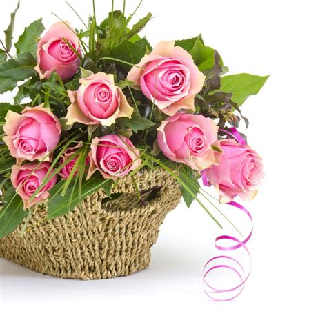 Ouquet Of Pink Roses Stock Photo Image Of Love Center 24765446