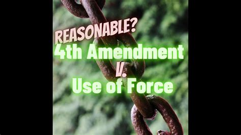 court 101 4th amendment v use of force what makes use of force reasonable preview youtube