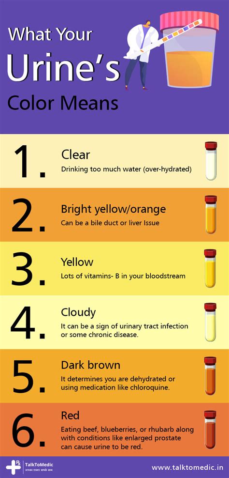 What Your Urine Color Says About Your Health Telehealth Blogs