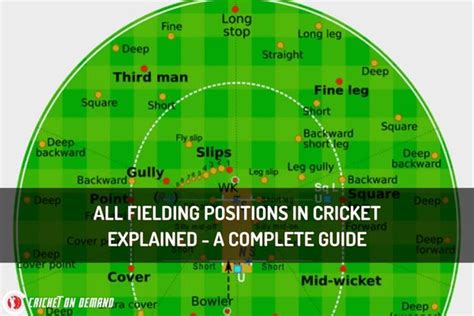 All Fielding Positions In Cricket Explained A Complete Guide