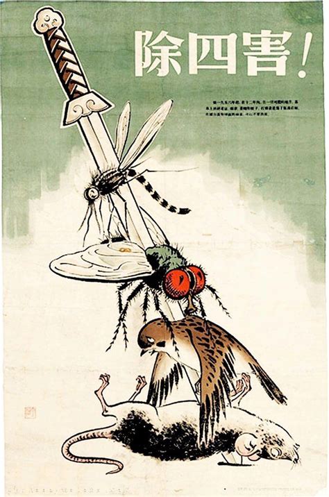 Mao Zedongs “4 Pests” Campaign Which Called Upon All Citizens To Kill