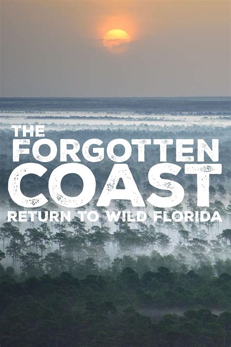 The Forgotten Coast Return To Wild Florida Programs Pbs Socal