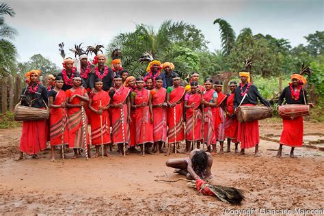 Muria Tribe The Progressive Indigenous Tribal Community Of Bastar Cg Innovate