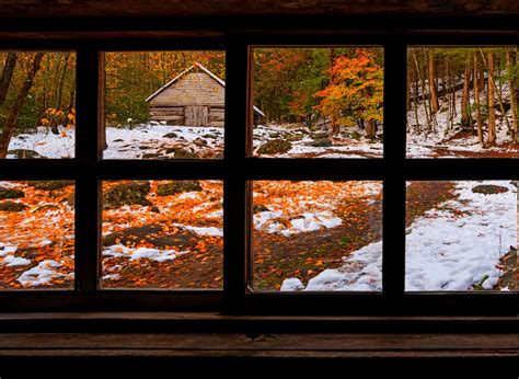 Wallpaper Forest Fall Window Nature Reflection Snow Winter