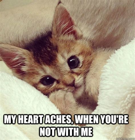 Cute Kitten Meme Miss You