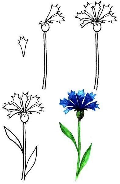 Coole bilder zum zeichnen mit jugendlichen augen. Blumen malen lernen - DekoKing