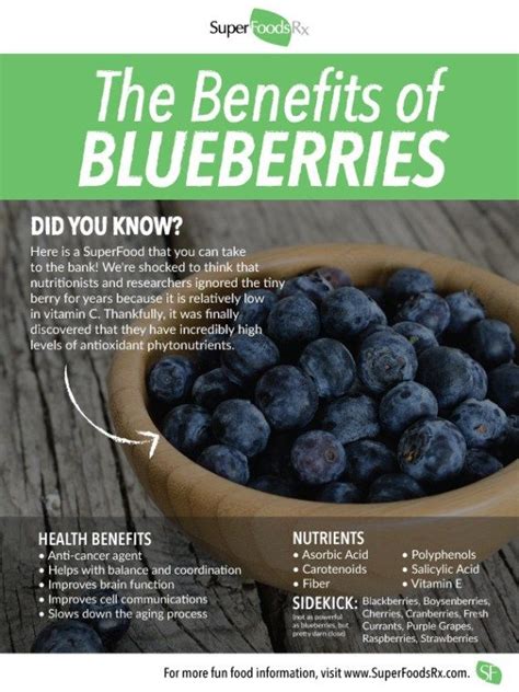 Blueberries Superfood Overview Blueberry Benefits Blueberries