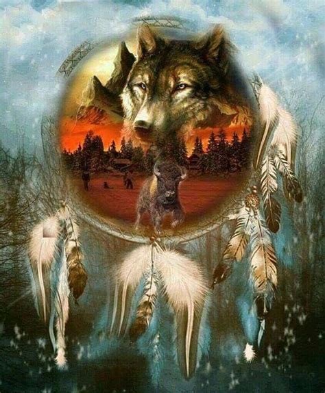 Dream Catcher Wolf Spirit Animal Native American Wolf American