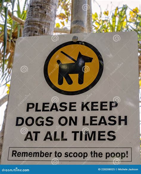 Dogs Must Be On Leash Sign Stock Image Image Of Owners 228208025