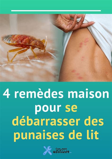 69 Best Of Quoi Faire Contre Les Punaises De Lit Insectza