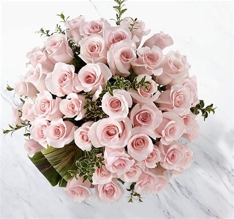 Delighted Luxury Rose Bouquet 48 Premium Long Stemmed Roses In